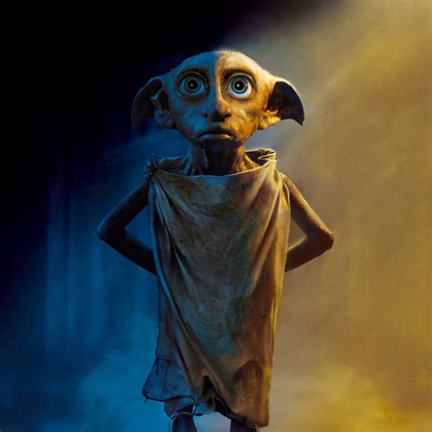 Everyone's favorite novice wizard, Harry Potter, continues his high-flying adventures at Hogwarts. This time around, Harry ignores warnings not to return to school—that is, if he values his life—to investigate a mysterious series of attacks with Ron and Hermione. A house elf, Dobby is loyal, compassionate, and yearning for freedom. 